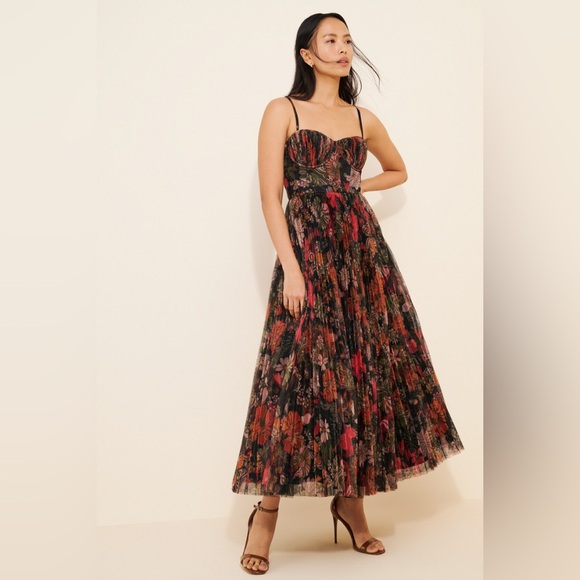 Hutch Dresses & Skirts - Hutch Amara Corset Pleated Tulle Fit & Flare Midi Dress